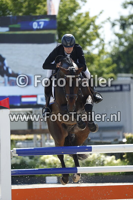 dennis van den brink