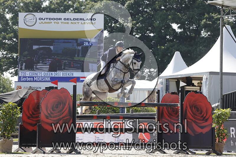 Cornets Queen Dree Boeken