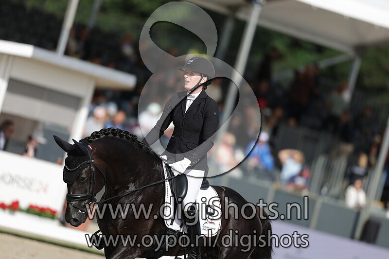 Winhorses Eleven NRW