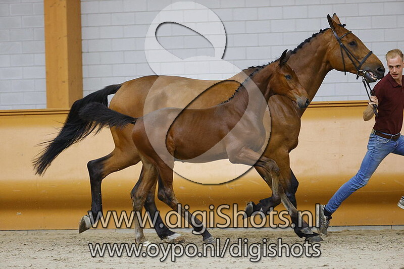 Captain Morgan ZG v. Comme il FAut