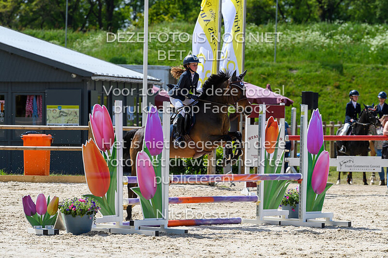 S16 Springen DE 80cm