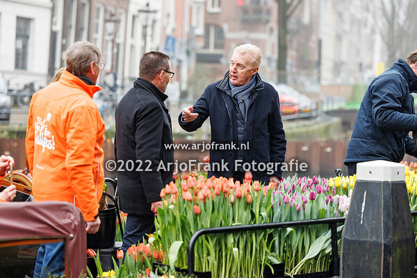 Tulp Andre 75