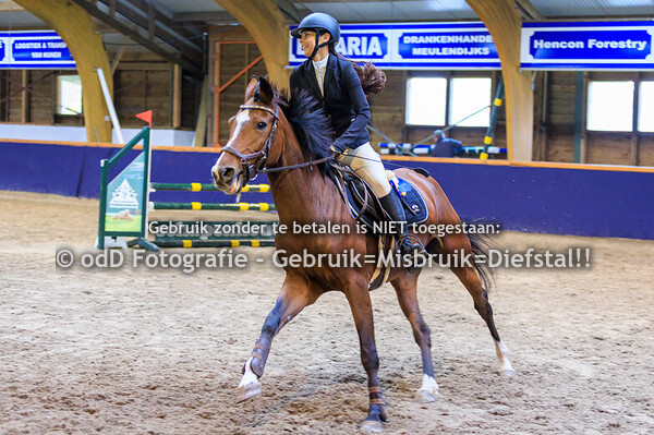 Geldrop Hippique pony 80de 12-10-25