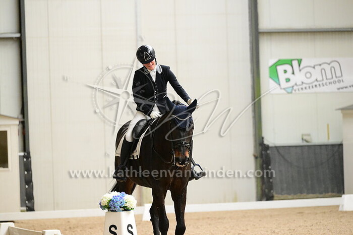 Jade Verschoor - Brown Boy RFS