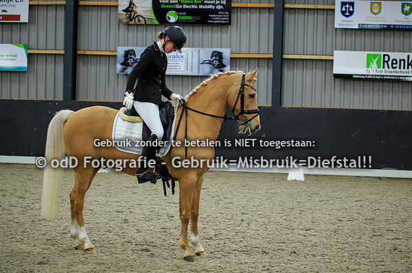 Dressuur PSV Nederweert L1 en L2 Pony 11-12-21