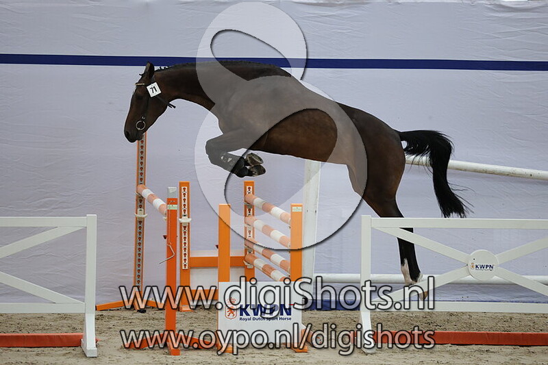 Scratch DG v. Etoulon VDL