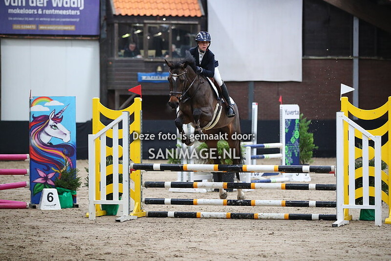 Zilfia's Hoeve Springen paarden 03-02-2024 90 cm