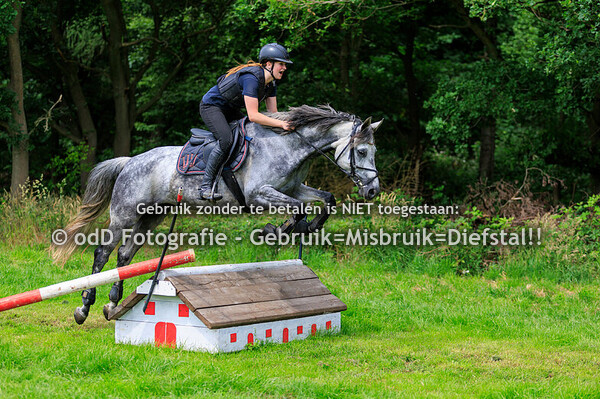 St Tunnis Hippisch Event Groep 7 13.00 31-05-25