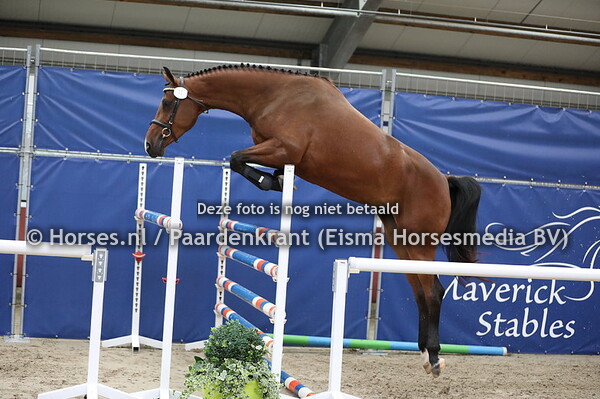 11 Lucy on Tour v Gino