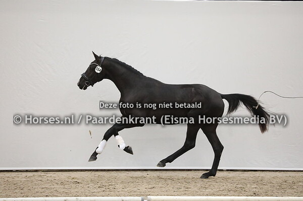 554 Secret x Johnson