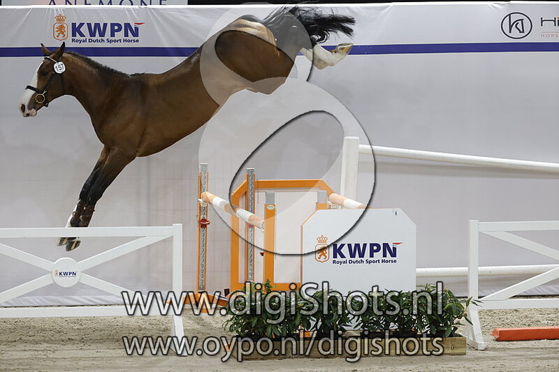 NN v. Million Dollar vavn het Schaeck