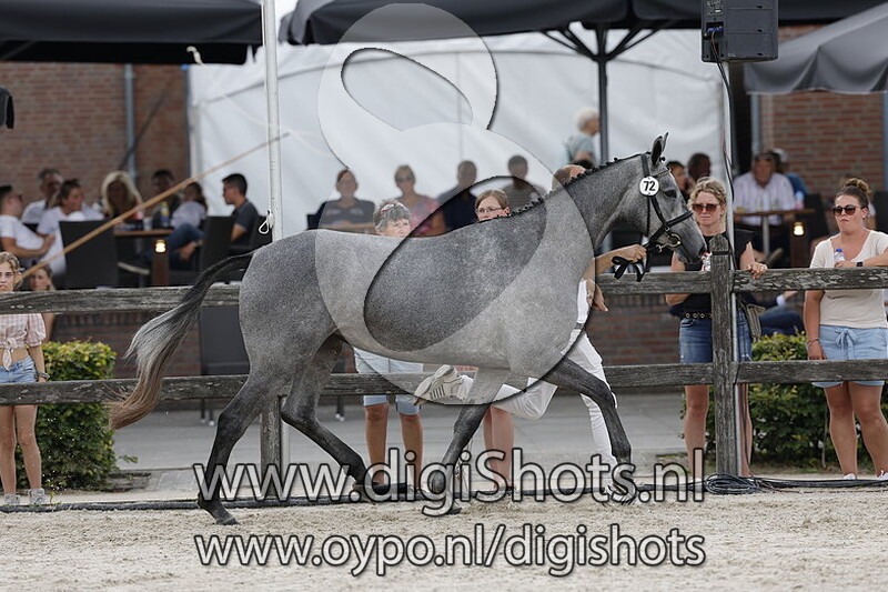 Persinaa v. Kobalt VDL