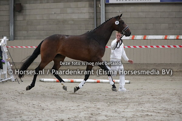 35 Pretty Woman (Just Wimphof x Kwinty v.Everdale