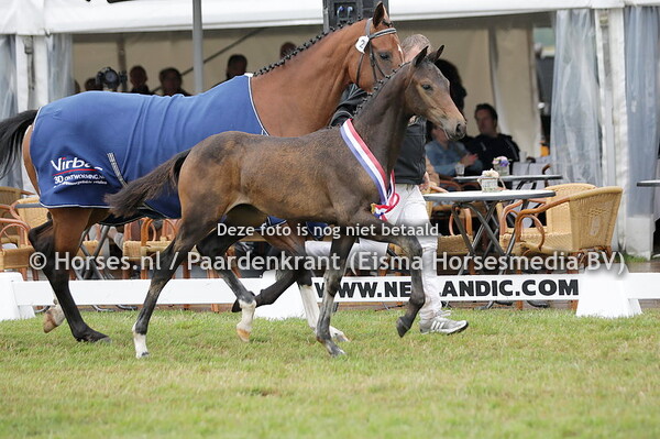 27  Serette (Livius x Merette v. High