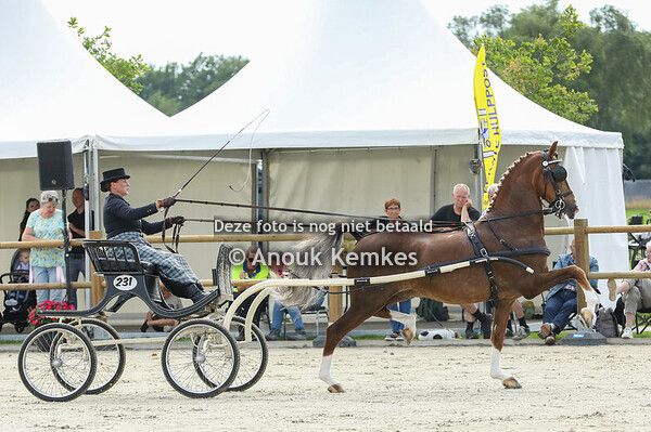 TP Noord KAMPIOENSCHAP Ereklasse 