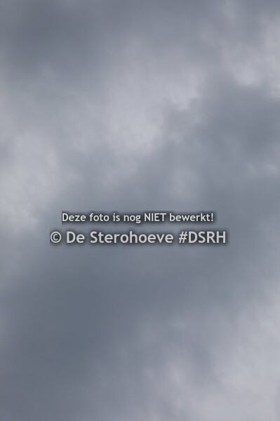 2.Merries van 4j en 5j springen