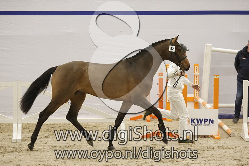 Sir Peppie T v. Conthargos