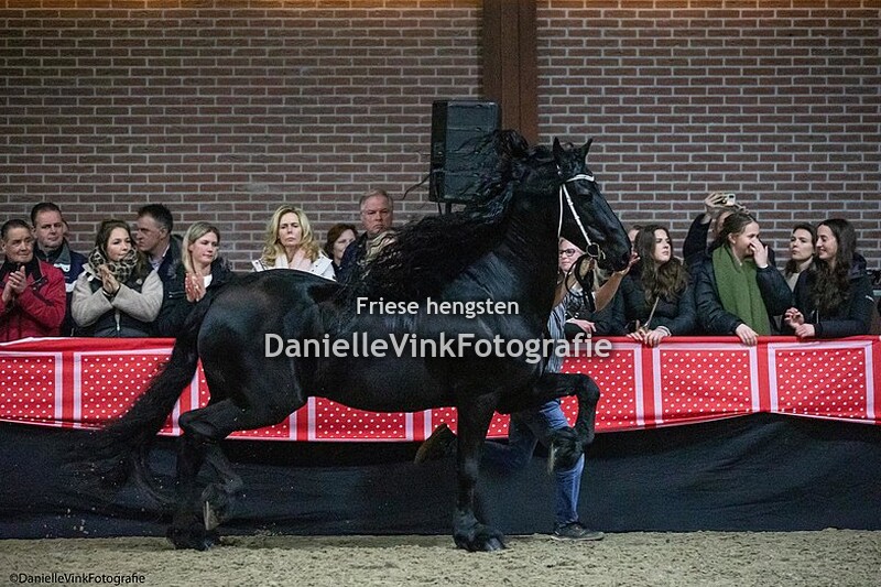 Hengstenshow Lunteren 25-02-2023 Take 455