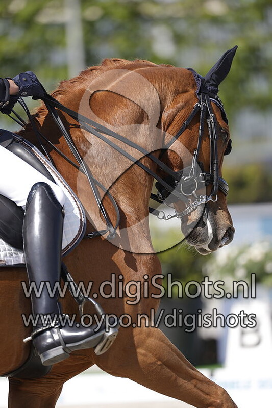 Fiesta vd Kempenhoeve