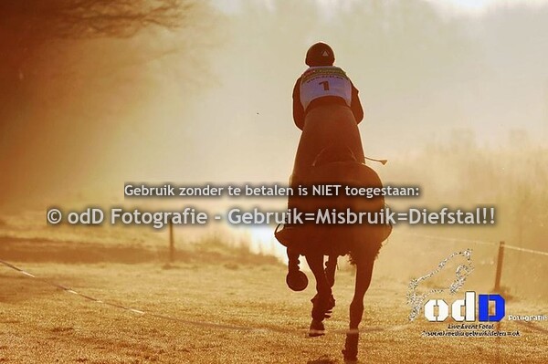 North Holland Horse Trials XC 08-04-23