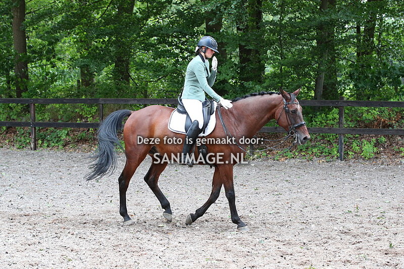 RC Henschoten dressuur 16-07-2023 Klasse Z