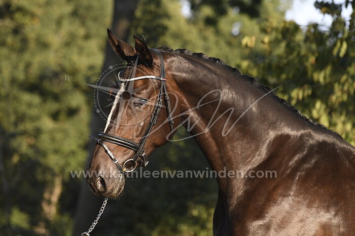 2020-09-14 Fotoshoot Max