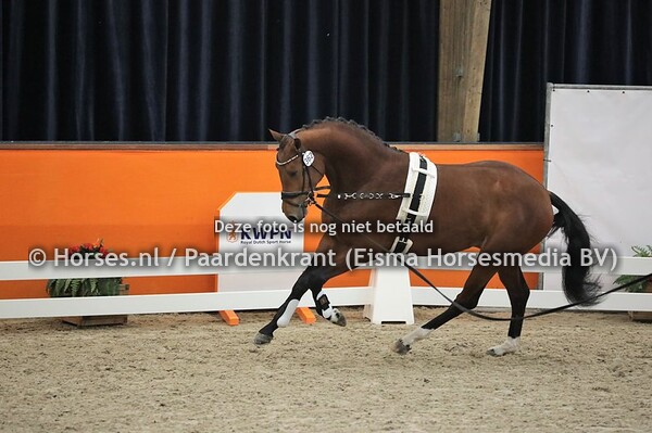 362 (Electron x Charmeur)