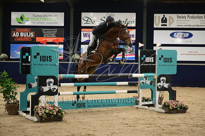 Niels Brussen - Daylight Z