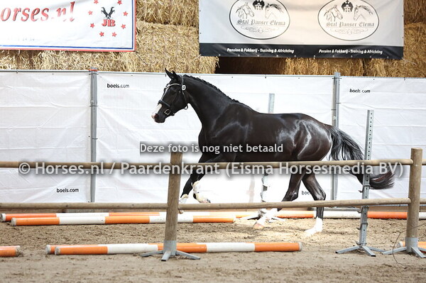 49 Senorita Floriaantje JK (Next Level x Huriaantje v. Metall)