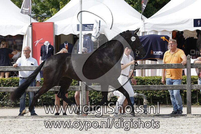 Pretty Missy v. Desperado