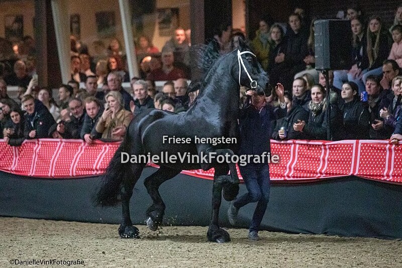 Hengstenshow Lunteren 25-02-2023 Haitse 425