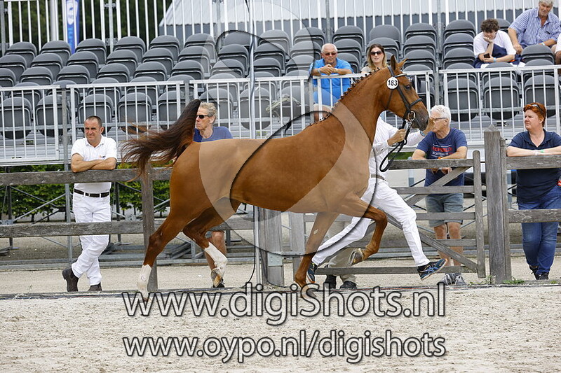 183 Nadien MC v. Alexandro P