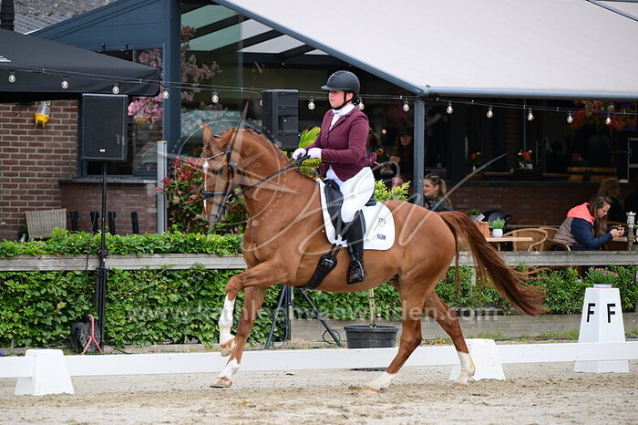 Jasmijn Maijer - Nightrider