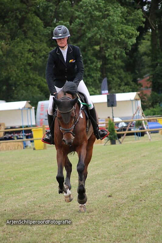 Hippisch Holtrijk Grolloo 07-07-2019 Z