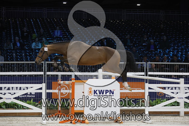 Cupido Fan Skulenboarch Z v. Caesar Z - 018