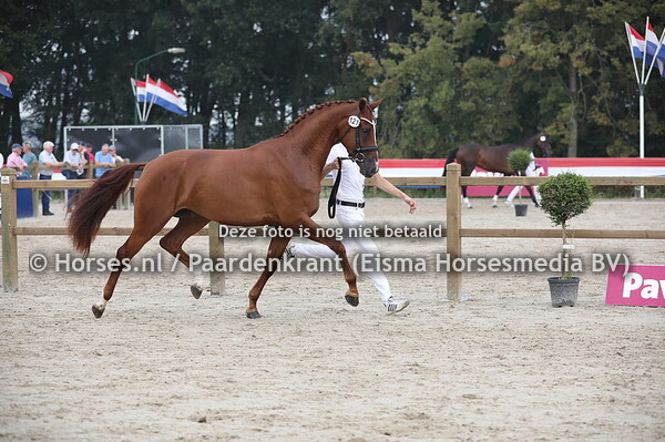 121 Ladonna (El Capone x Welty v. Welt Hit II)