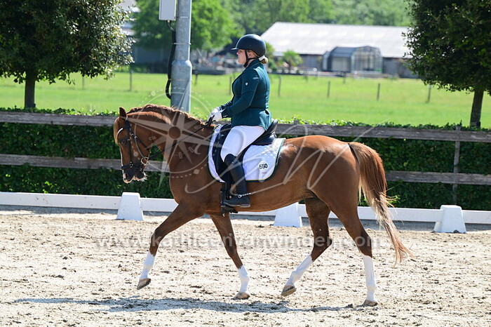 Vita van de Graaf - Saar