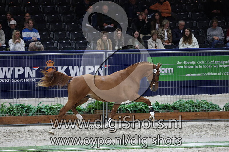 Tinus van het Woldhuis