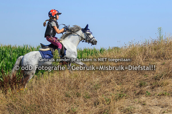 Training Margo, Groep 3, 9:15