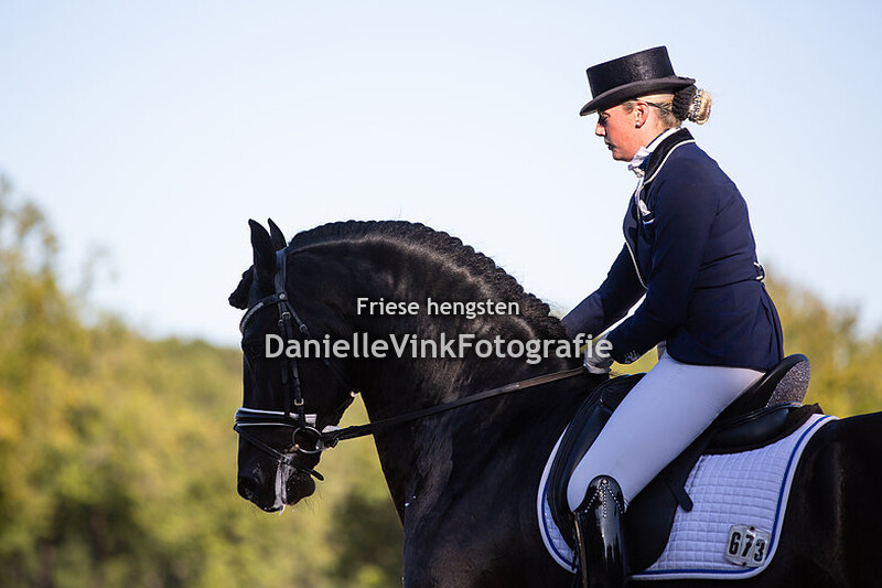 NK Friese paarden 2019 Jurre 495