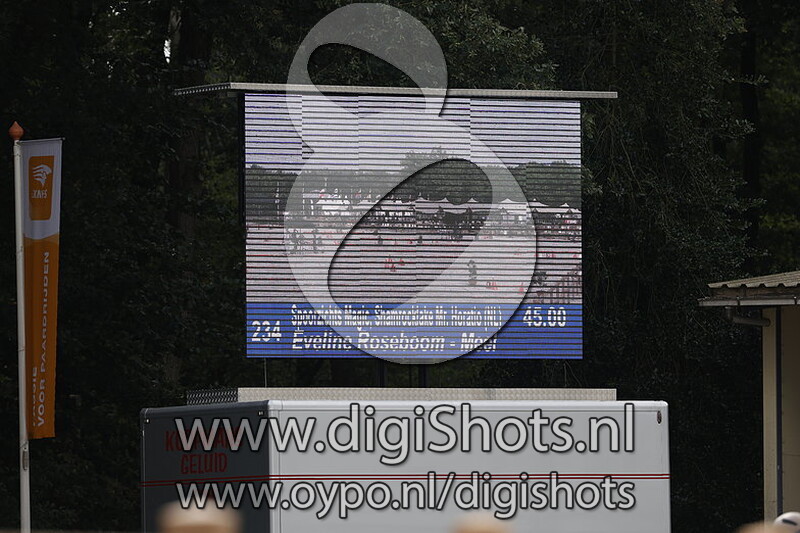 Vaardigheid Klasse M-Z-ZZ Tweespan Ponys