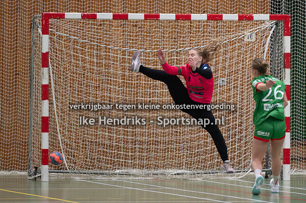 20251122VeloD1-QuintusD2