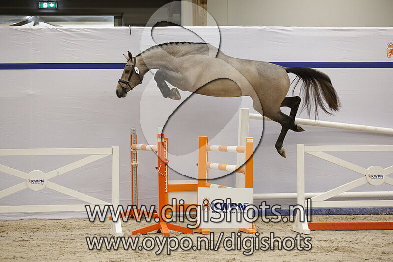 Stitch HB v. Connect