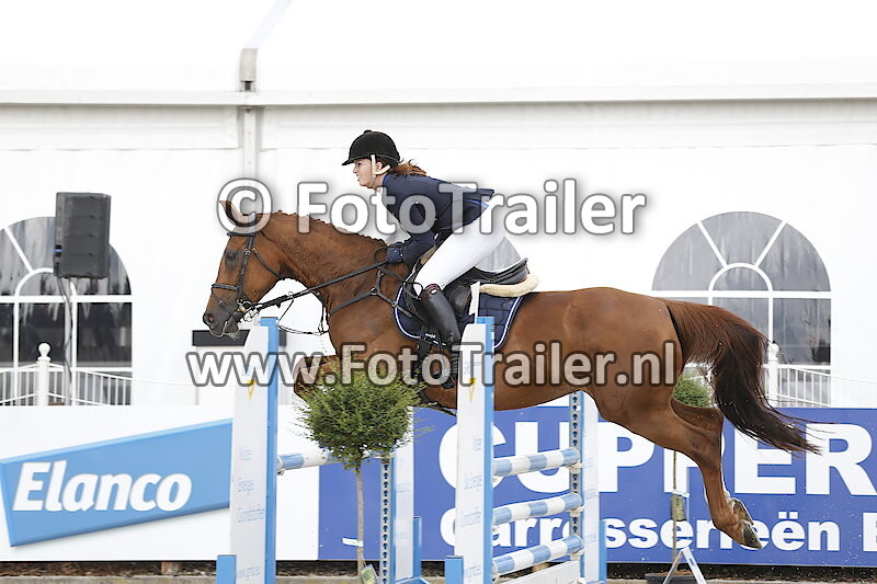 Hariette van Dalfsen