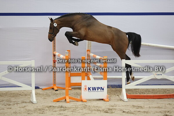 48 (Connect x Carambole)