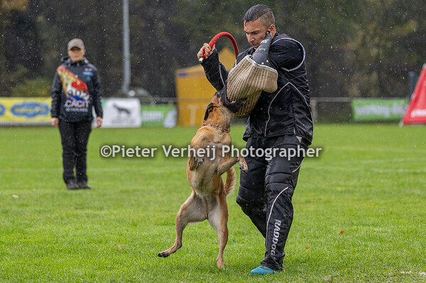 Cat nr5 Lisa Stenglein with Spitting Fire's Hurricane Blue