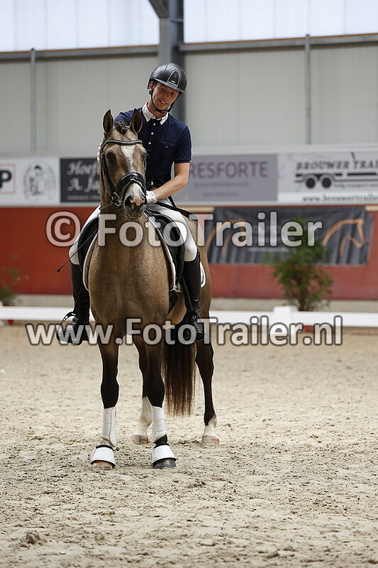 clinic dutch pony championships