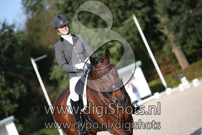 Z1 paarden dressuur Ring 4