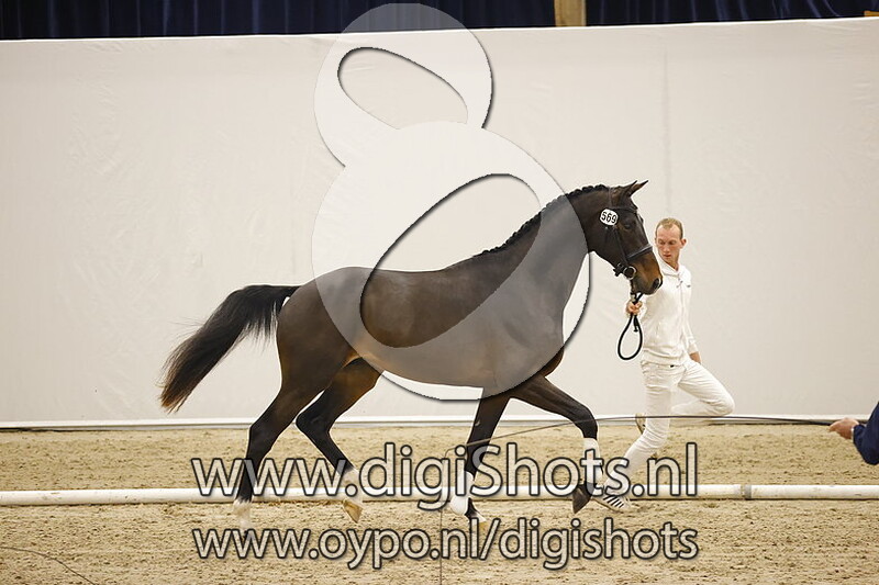 Navarro v. Trafalgar