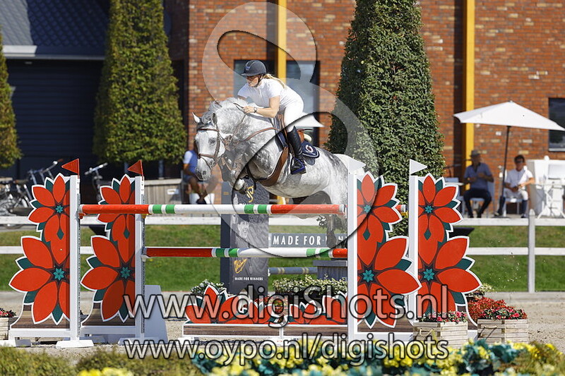 Antrax dâ€™Amas AD Z